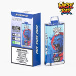 Waspe Bar 60K, sabor a hielo de arándanos - Vape desechable de 60 000 caladas
