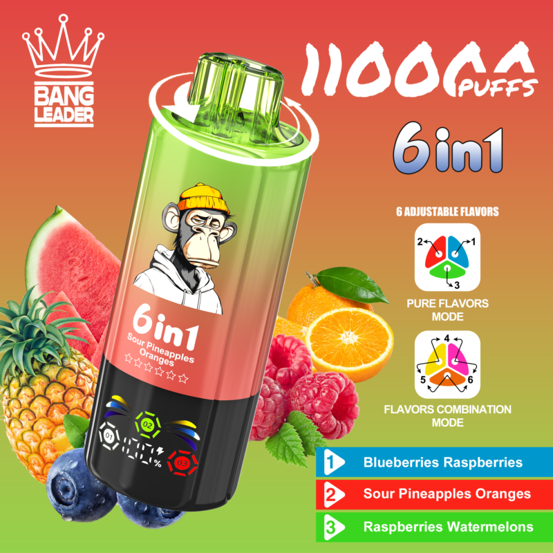 Bang Leader 110 000 caladas 6 en 1: arándanos, frambuesas, piña ácida, naranjas, frambuesas y sandía - 100vaping