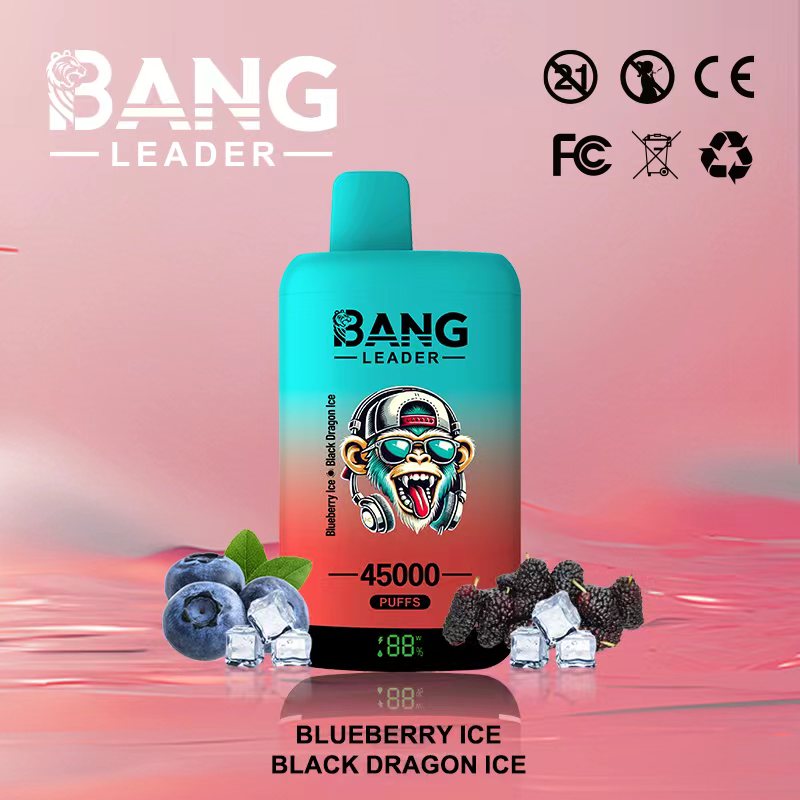 Vaporizador desechable Bang Leader de 45 000 caladas con sabor a arándanos helados y dragón negro helado - 100vaping