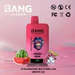 Bang Leader 45K Puffs Strawberry Watermelon Grape Ice Flavor Disposable Vape - 100vaping