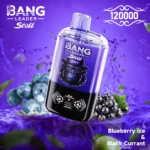 Bang Leader Stoll 120K Puffs Blueberry Ice Black Currant Flavor - 100vaping