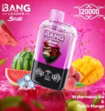 Bang Leader Stoll 120K Puffs Watermelon Ice Peach Mango Flavor - 100vaping