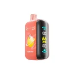 ELF BAR RAYA D3 25000 Puffs Watermelon Ice Disposable Vape - 100vaping