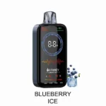 HIFANCY LUXURY BOX: vaporizador desechable de 18 000 caladas con sabor a arándanos helados - 100vaping