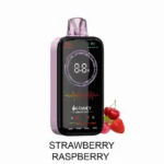 HIFANCY LUXURY BOX 18000 Puffs Strawberry Raspberry Flavor Disposable Vape - 100vaping