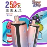 Bang King, 250 000 caladas, vaporizador desechable 4 en 1 recargable