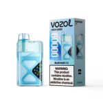 VOZOL NEON, vaporizador desechable de 60 000 caladas con sabor a Blue Razz Ice - 100vaping