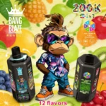 Bang Blaze 200K Puffs 6-in-1 Disposable Vape Rechargeable – product view