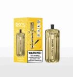 Bang E-Shisha Head 42K Puffs Gold LED Display Disposable Vape – Double Apples
