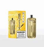 Bang E-Shisha Head 42K Puffs Gold LED Display Disposable Vape – Peach Ice