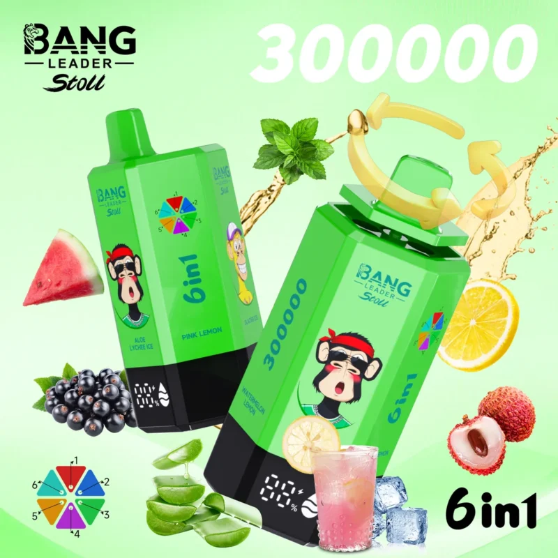 Bang Leader Stoll 300K Puffs 6-in-1 Disposable Vape Rechargeable – Aloe Lychee Ice