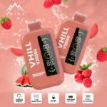 VHILL: vaporizador desechable de sandía y frambuesa con 20 000 caladas