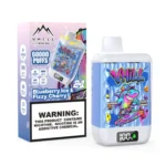VHILL TWINS: vaporizador desechable de 60 000 caladas con sabores a arándano helado y cereza efervescente