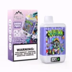 VHILL TWINS: vaporizador desechable de 60 000 caladas con sabor a manzana doble, kiwi, guayaba y maracuyá
